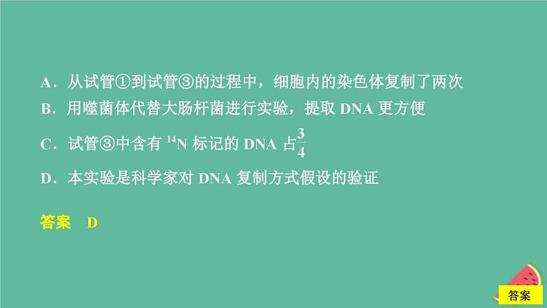 2023年新教材高中生物第3章基因的本质第4章基因的表达水平测试课件新人教版必修2第5页