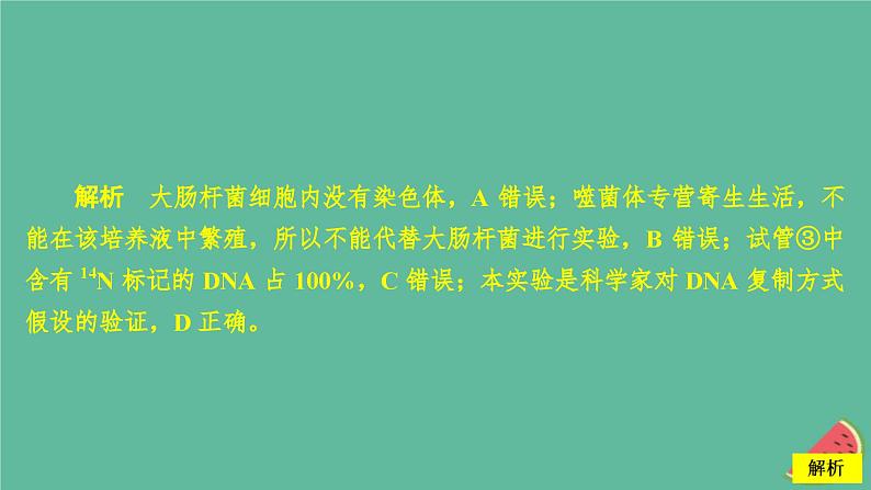 2023年新教材高中生物第3章基因的本质第4章基因的表达水平测试课件新人教版必修2第6页