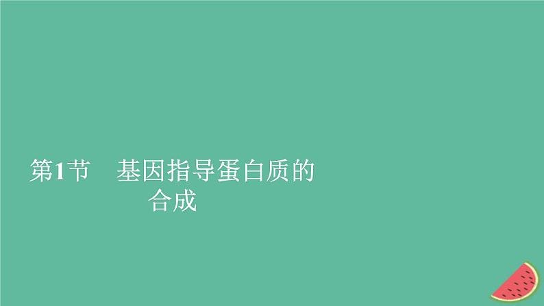 2023年新教材高中生物第4章基因的表达第1节基因指导蛋白质的合成课件新人教版必修201