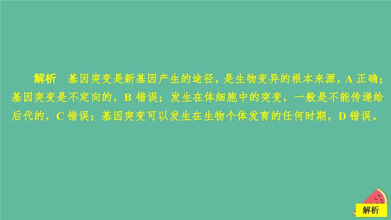 2023年新教材高中生物第5章基因突变及其他变异水平测试课件新人教版必修2第3页