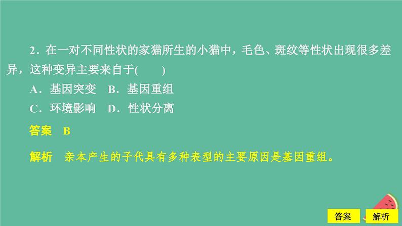 2023年新教材高中生物第5章基因突变及其他变异水平测试课件新人教版必修2第4页