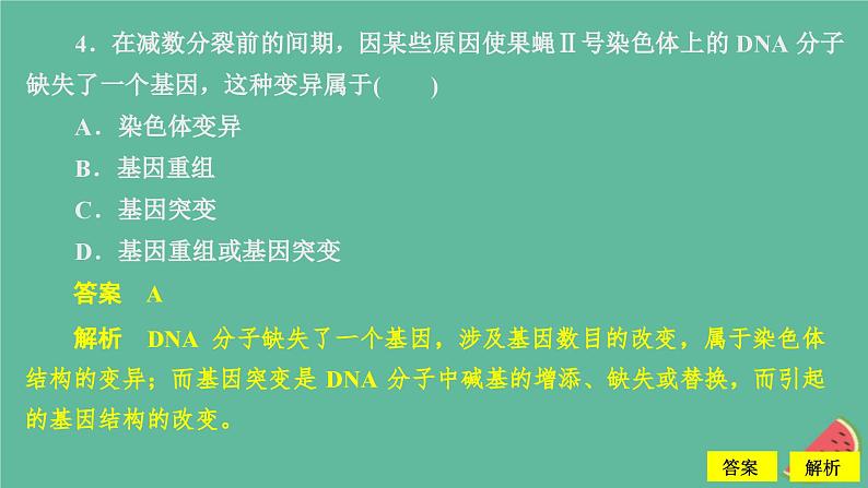 2023年新教材高中生物第5章基因突变及其他变异水平测试课件新人教版必修2第6页