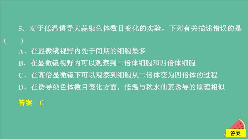 2023年新教材高中生物第5章基因突变及其他变异水平测试课件新人教版必修2第7页