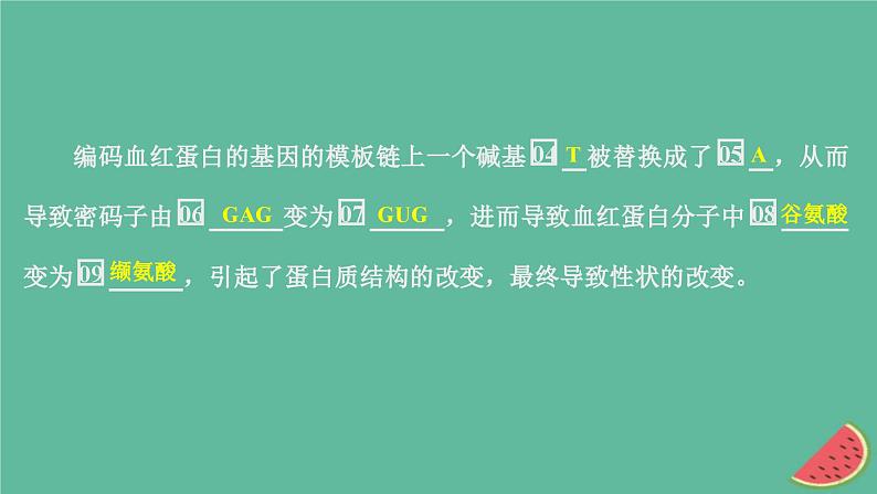 2023年新教材高中生物第5章基因突变及其他变异第1节基因突变和基因重组课件新人教版必修205