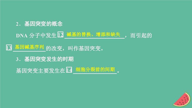 2023年新教材高中生物第5章基因突变及其他变异第1节基因突变和基因重组课件新人教版必修207