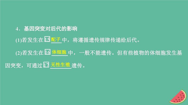 2023年新教材高中生物第5章基因突变及其他变异第1节基因突变和基因重组课件新人教版必修208