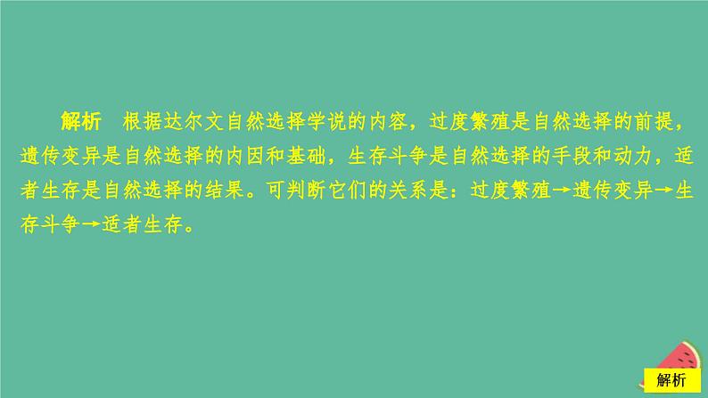 2023年新教材高中生物第6章生物的进化水平测试课件新人教版必修2第3页