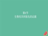 2023年新教材高中生物第6章生物的进化第1节生物有共同祖先的证据课件新人教版必修2