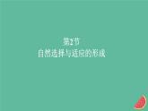 2023年新教材高中生物第6章生物的进化第2节自然选择与适应的形成课件新人教版必修2