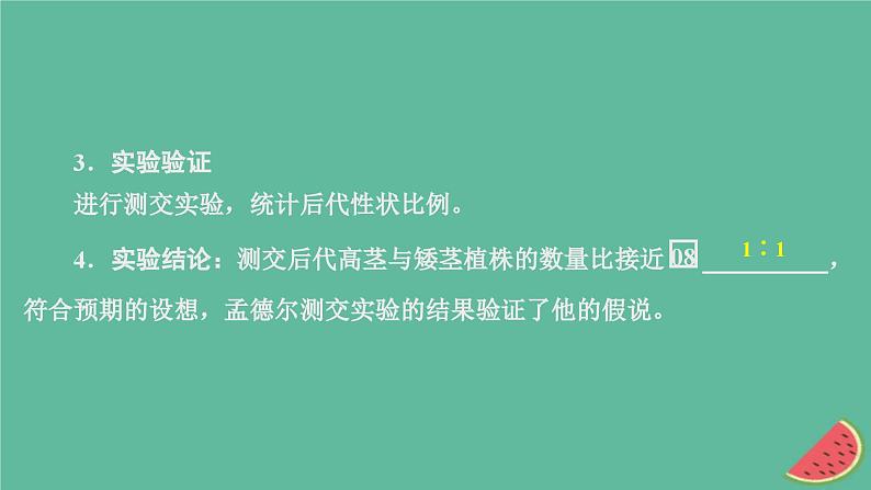 2023年新教材高中生物第1章遗传因子的发现第1节孟德尔的豌豆杂交实验一第2课时对分离现象解释的验证和分离定律课件新人教版必修205