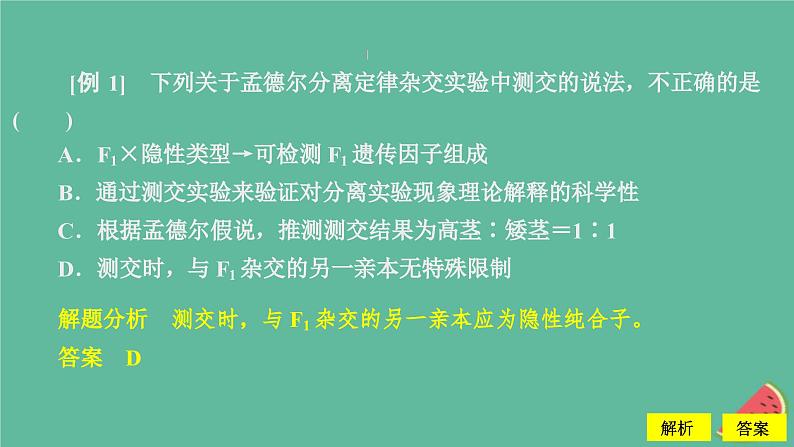 2023年新教材高中生物第1章遗传因子的发现第1节孟德尔的豌豆杂交实验一第2课时对分离现象解释的验证和分离定律课件新人教版必修207