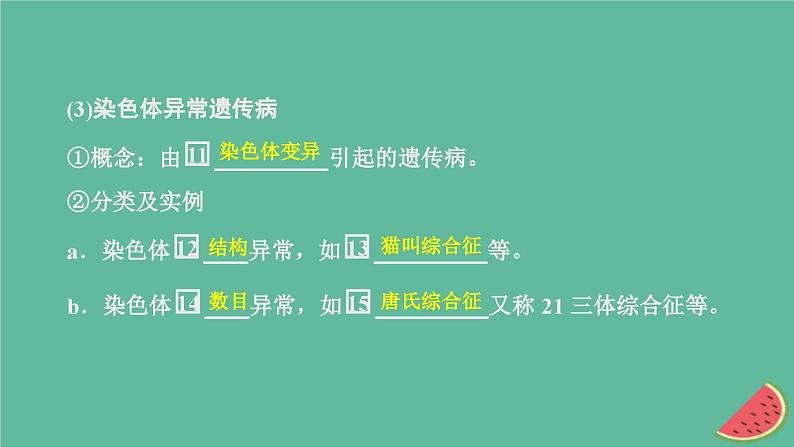 2023年新教材高中生物第5章基因突变及其他变异第3节人类遗传课件新人教版必修2第7页