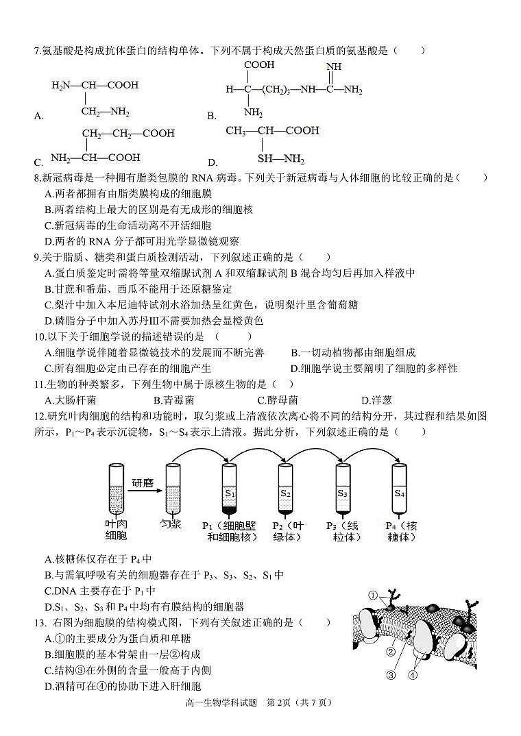 浙江省台州市山海协作体2023-2024学年高一上学期期中联考生物试题02