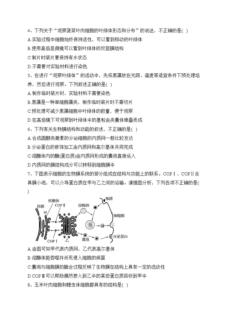 3.2细胞器之间的分工合作（同步练习）——高中生物人教版（2019）必修一(含答案)第2页