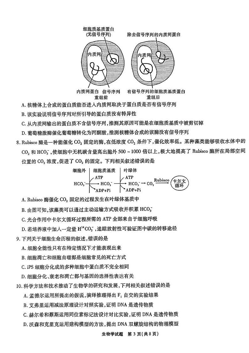 安徽2024届江淮十校高三第二次联考  生物学试题（含答案）03