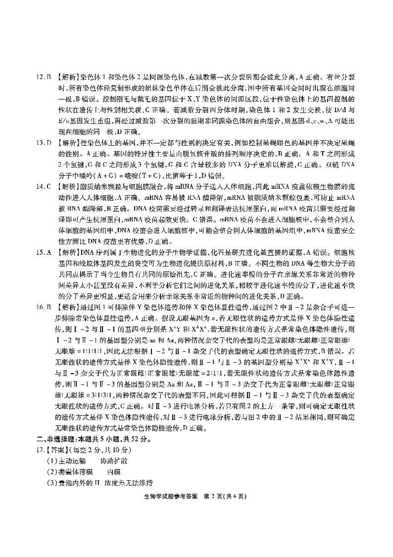 安徽2024届江淮十校高三第二次联考  生物学试题（含答案）02