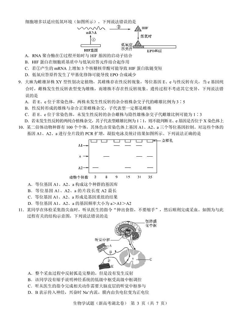 湖北省名校联考2023-2024学年高三上学期11月期中考试生物试题第3页