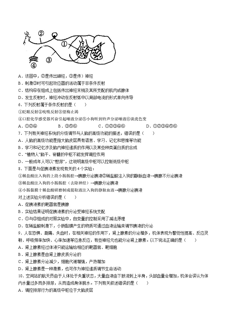 福建省福州市福清市高中联合体2023-2024学年高二上学期期中生物试题02