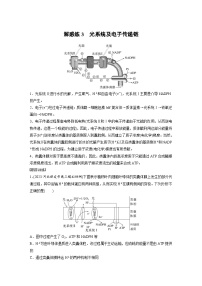 新高考生物一轮复习考点梳理讲义 第3单元　解惑练3　光系统及电子传递链（含解析）