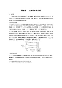 新高考生物一轮复习考点梳理讲义 第3单元　解惑练2　光呼吸和光抑制（含解析）