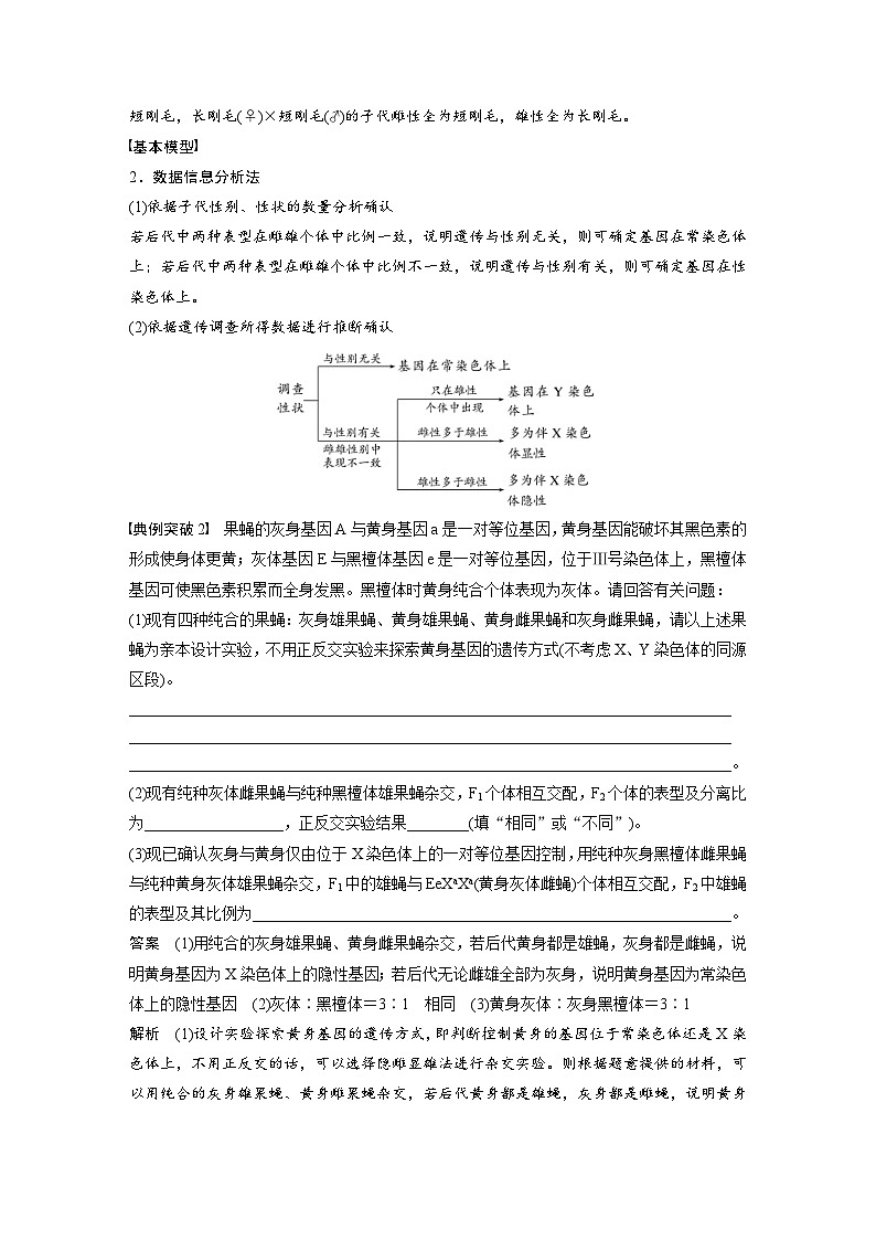 新高考生物一轮复习考点梳理讲义 第5单元　第9课时　与性染色体相关的基因位置的分析与判断题型突破（含解析）02