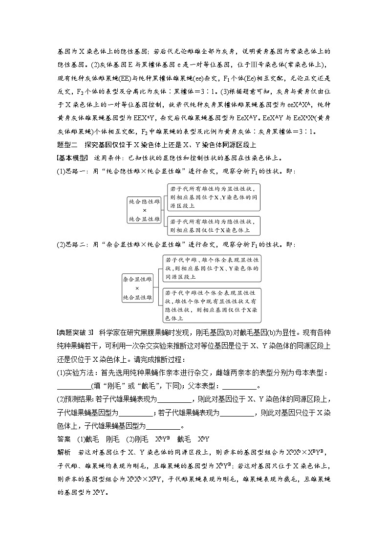 新高考生物一轮复习考点梳理讲义 第5单元　第9课时　与性染色体相关的基因位置的分析与判断题型突破（含解析）03