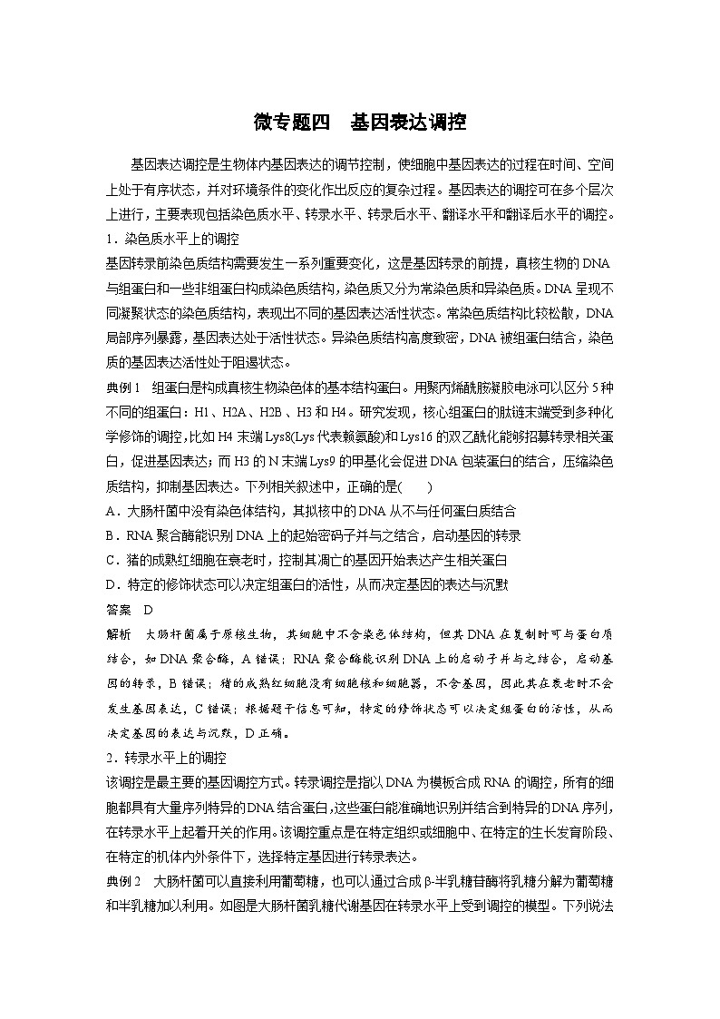 新高考生物一轮复习考点梳理讲义 第6单元　微专题四　基因表达调控（含解析）第1页