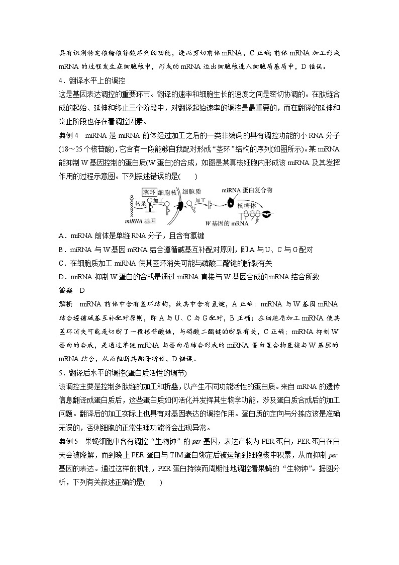 新高考生物一轮复习考点梳理讲义 第6单元　微专题四　基因表达调控（含解析）第3页
