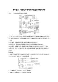 新高考生物一轮复习考点梳理讲义 第8单元　微专题六　动物生命活动调节模型的构建和分析