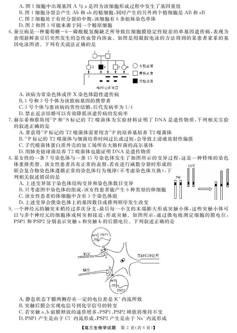 三湘名校教育联盟高三大联考试卷、答案、答题卡——生物02