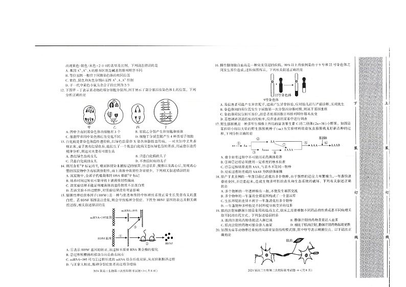 陕西省汉中市2023-2024学年高三上学期第三次校际联考生物试题及答案02