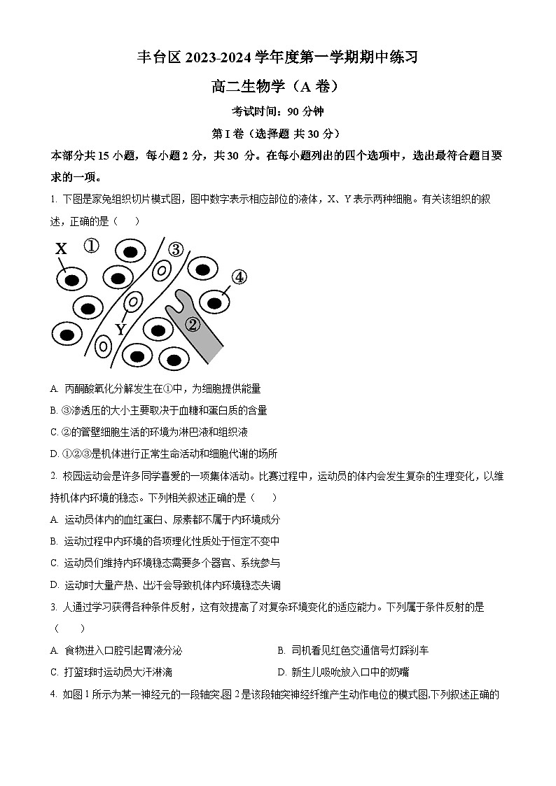 北京市丰台区2023-2024学年高二生物上学期期中试题A卷（Word版附答案）01