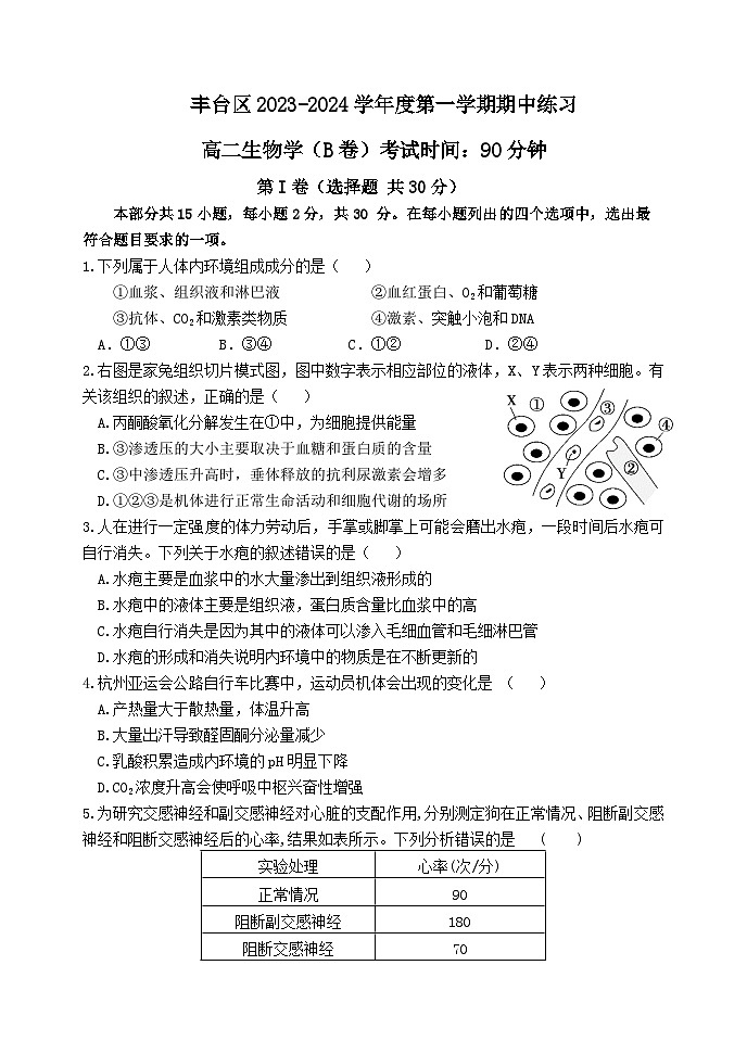 北京市丰台区2023-2024学年高二生物上学期期中试题B卷（Word版附答案）第1页