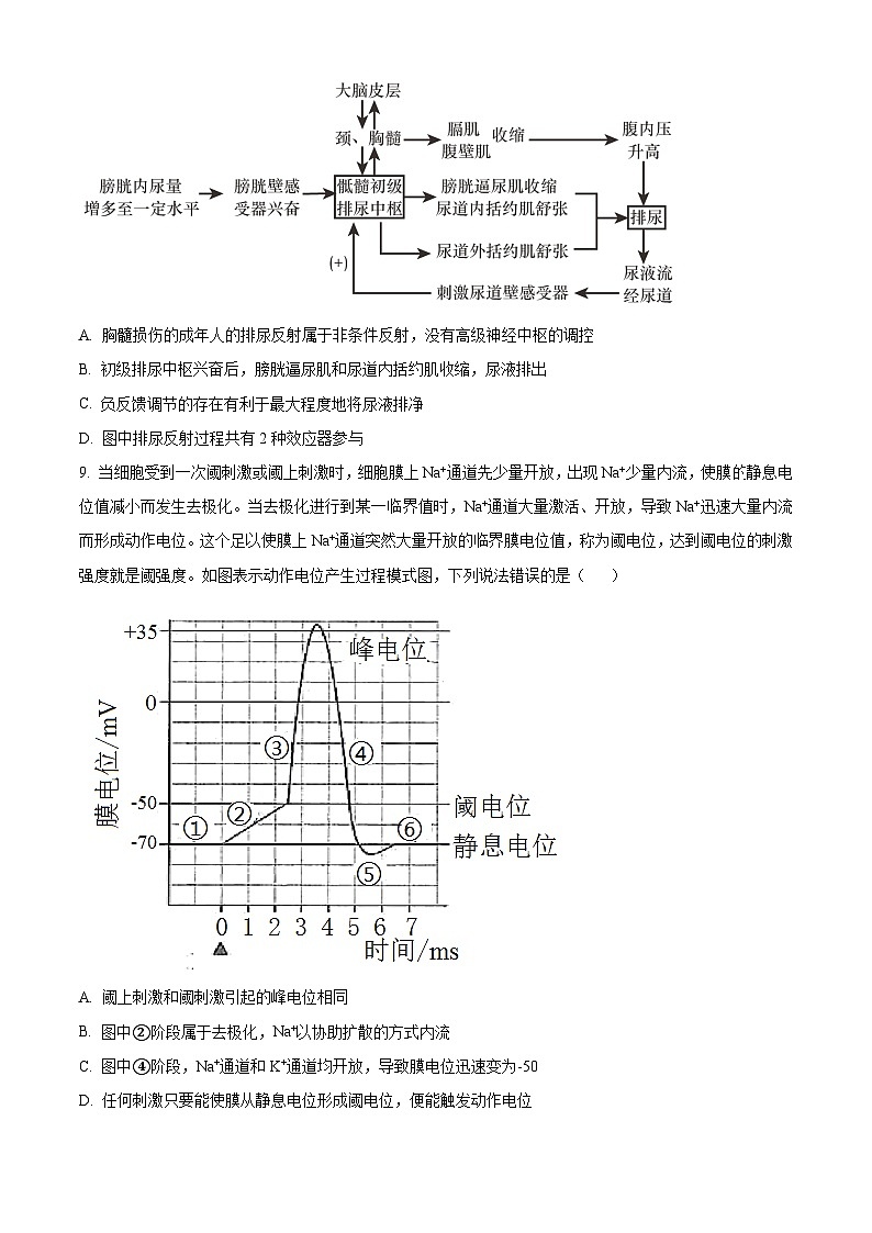 河南省南阳六校2023-2024学年高二生物上学期期中考试试卷（Word版附解析）03