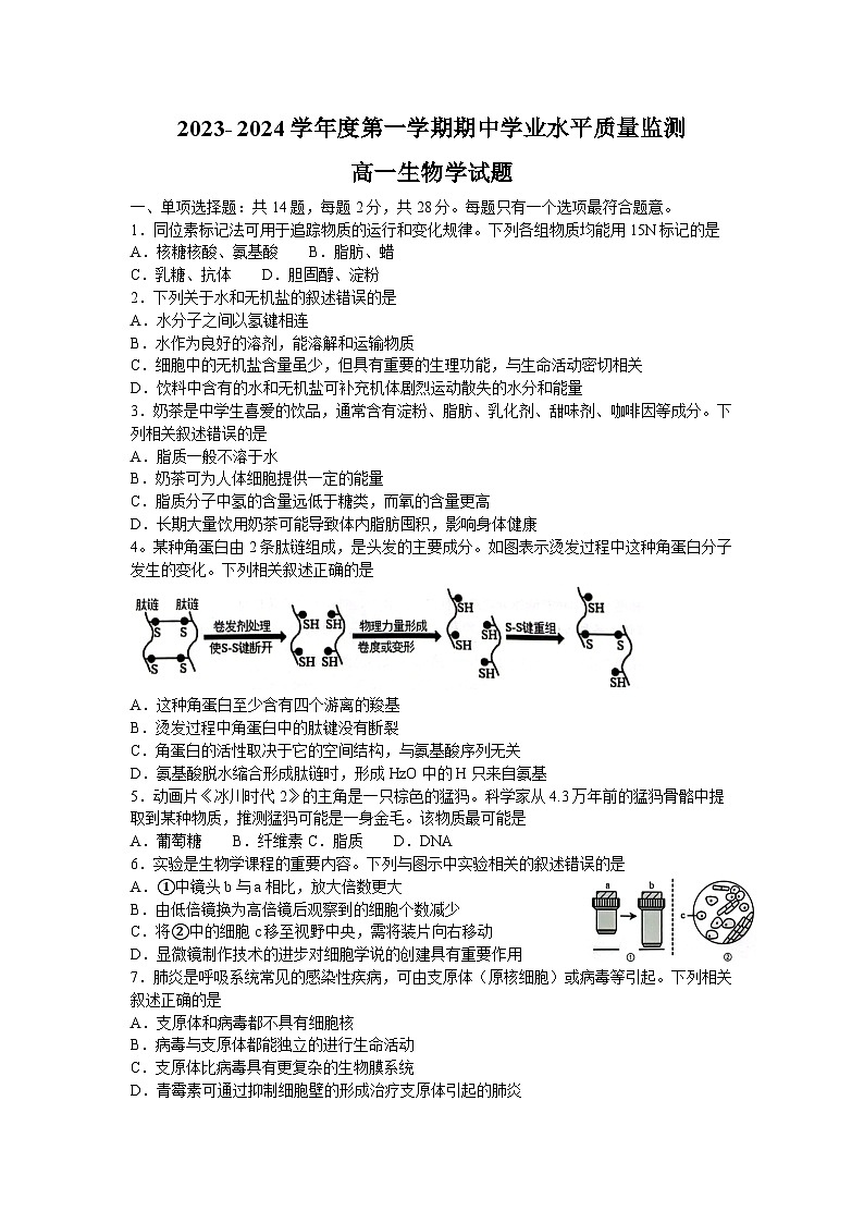 江苏省连云港市赣榆区2023-2024学年高一生物上学期11月期中考试试题（Word版附答案）01
