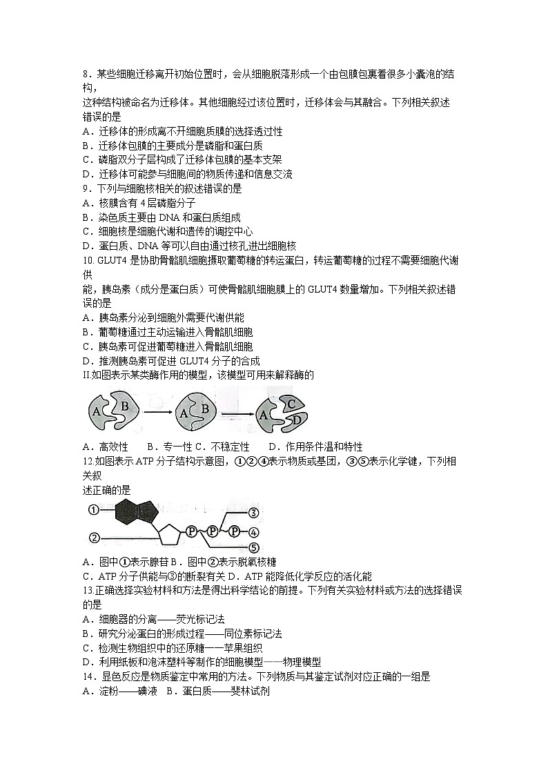 江苏省连云港市赣榆区2023-2024学年高一生物上学期11月期中考试试题（Word版附答案）02