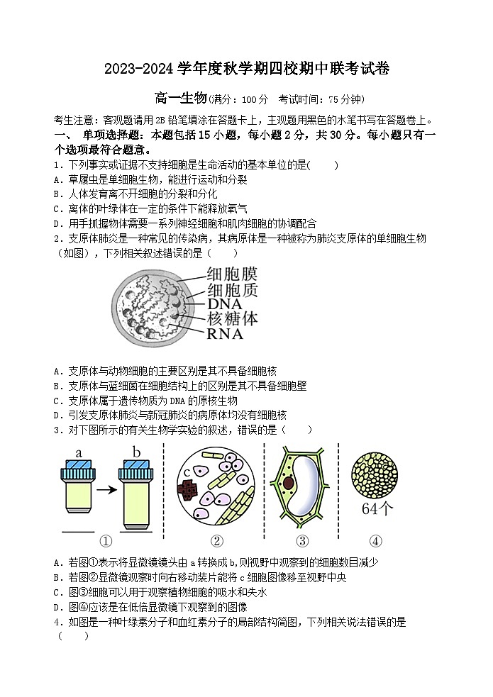 江苏省无锡市江阴市四校2023-2024学年高一生物上学期期中联考试题（Word版附答案）01