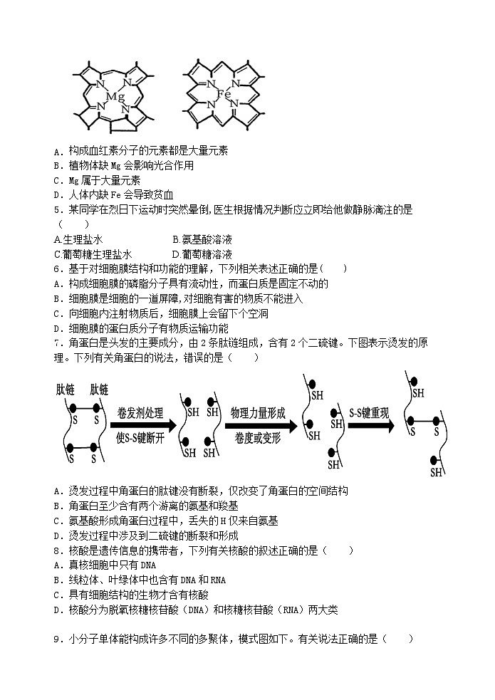 江苏省无锡市江阴市四校2023-2024学年高一生物上学期期中联考试题（Word版附答案）02