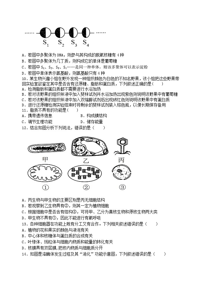江苏省无锡市江阴市四校2023-2024学年高一生物上学期期中联考试题（Word版附答案）03