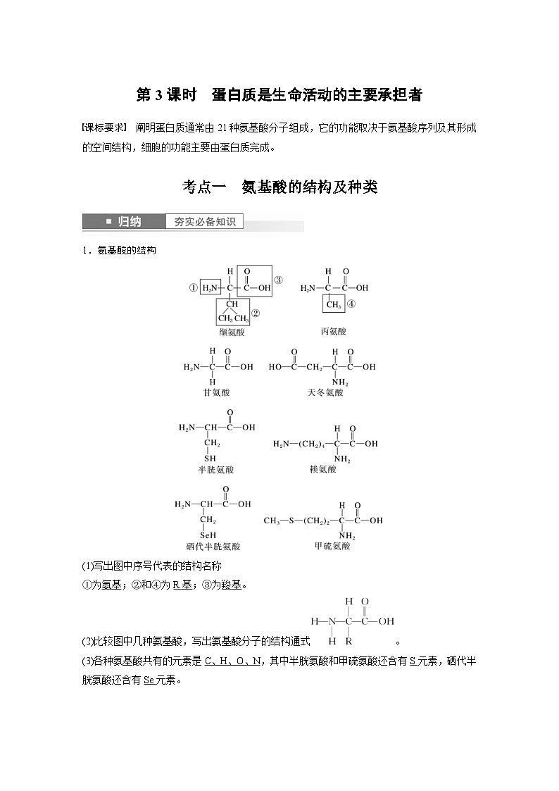 新高考生物一轮复习考点梳理讲义 第1单元　第3课时　蛋白质是生命活动的主要承担者（含解析）01