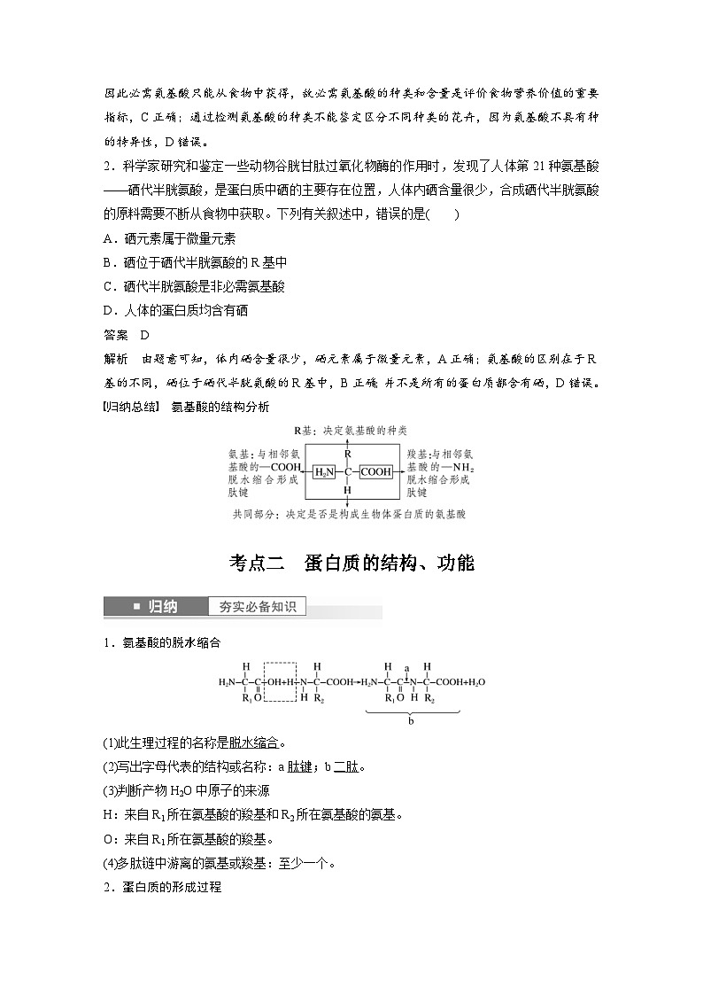 新高考生物一轮复习考点梳理讲义 第1单元　第3课时　蛋白质是生命活动的主要承担者（含解析）03