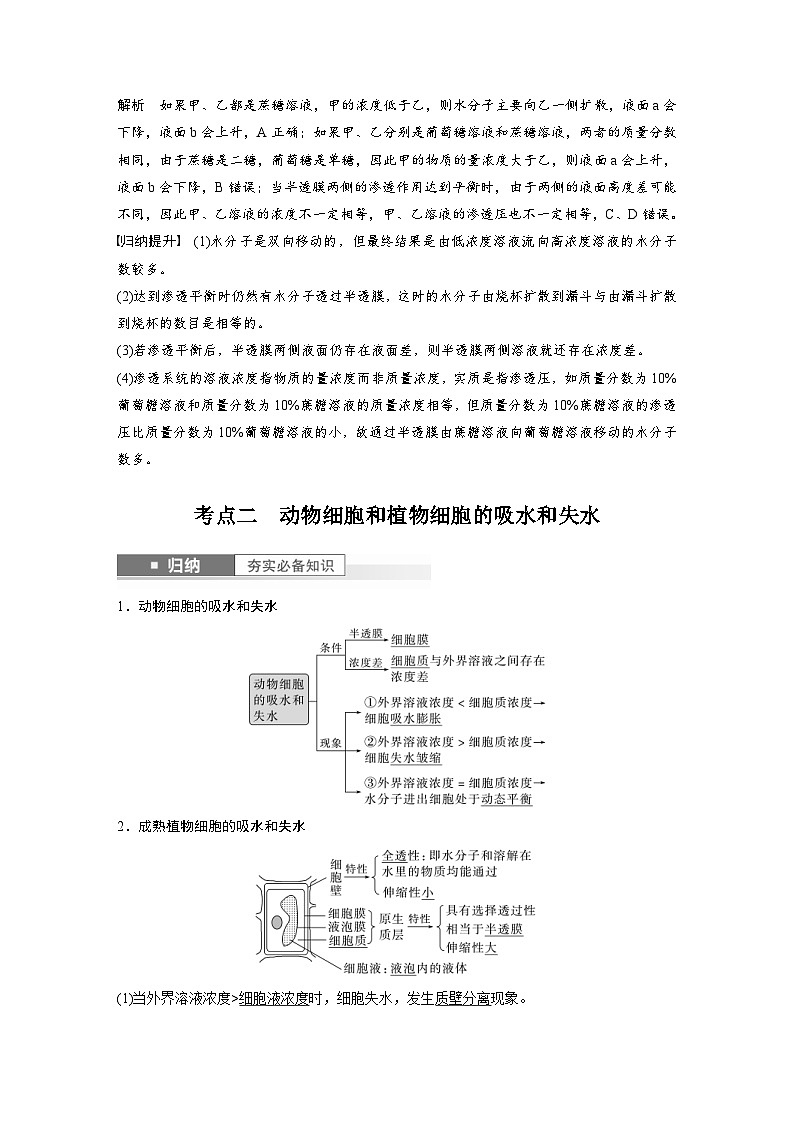 新高考生物一轮复习考点梳理讲义 第2单元　第4课时　水进出细胞的原理（含解析）03