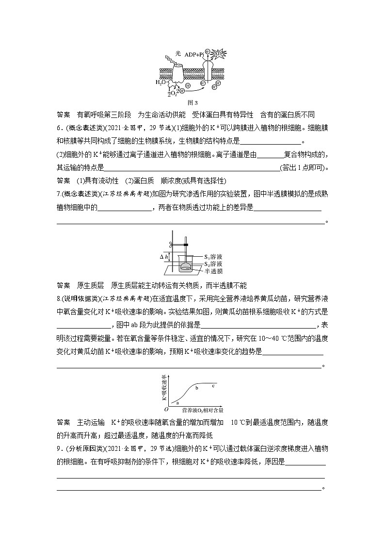新高考生物一轮复习考点梳理讲义 第2单元　长句表达(一)　与细胞有关的概念、特点和作用的描述（含解析）第2页