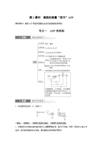 新高考生物一轮复习考点梳理讲义 第3单元　第2课时　细胞的能量“货币”ATP（含解析）