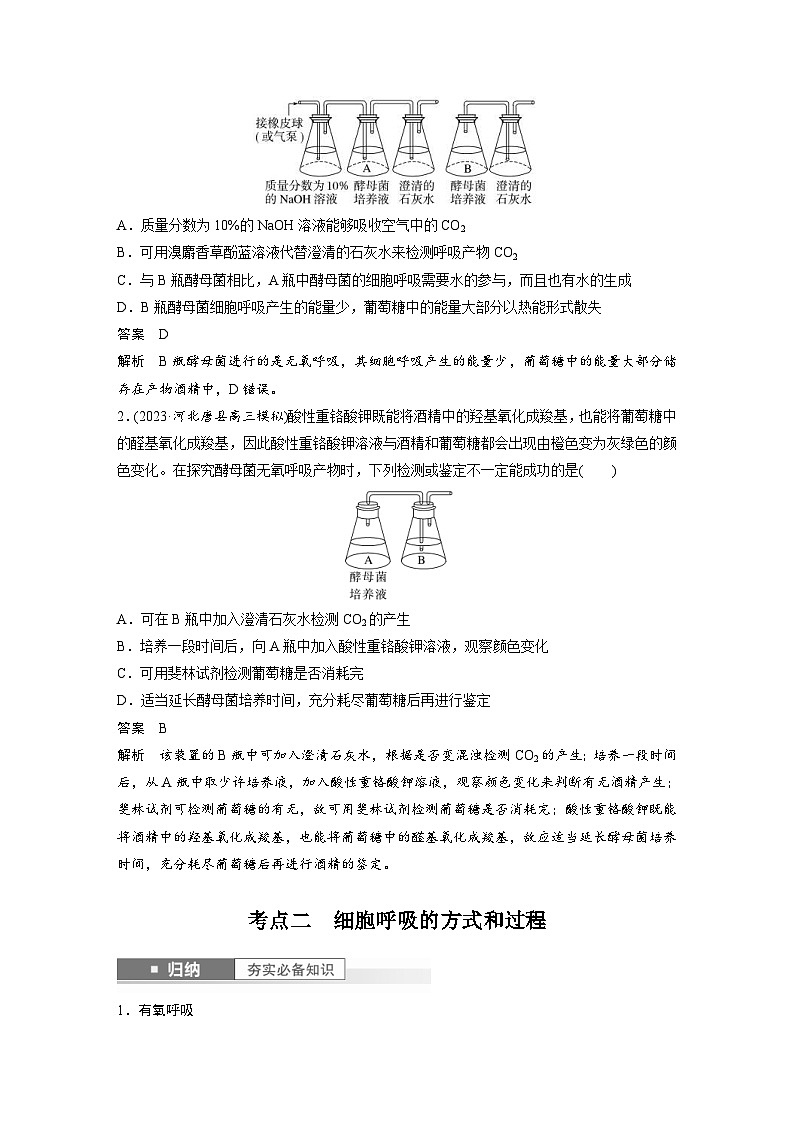 新高考生物一轮复习考点梳理讲义 第3单元　第3课时　细胞呼吸的方式和过程（含解析）第3页