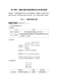 新高考生物一轮复习考点梳理讲义 第3单元　第5课时　捕获光能的色素和结构及光合作用的原理（含解析）