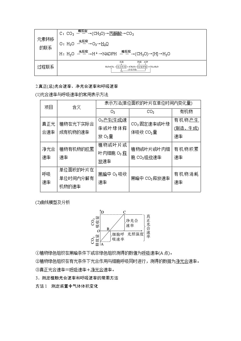 新高考生物一轮复习考点梳理讲义 第3单元　第7课时　光合作用和细胞呼吸的综合分析（含解析）02