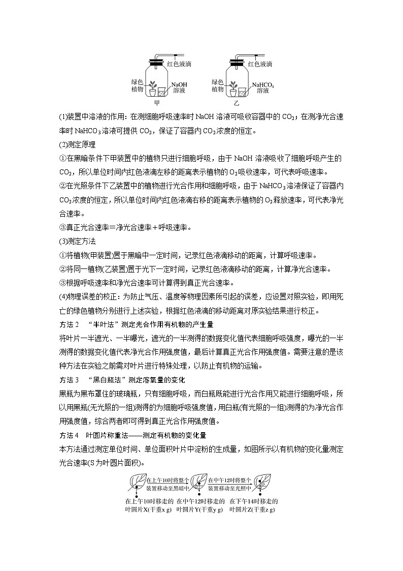 新高考生物一轮复习考点梳理讲义 第3单元　第7课时　光合作用和细胞呼吸的综合分析（含解析）03