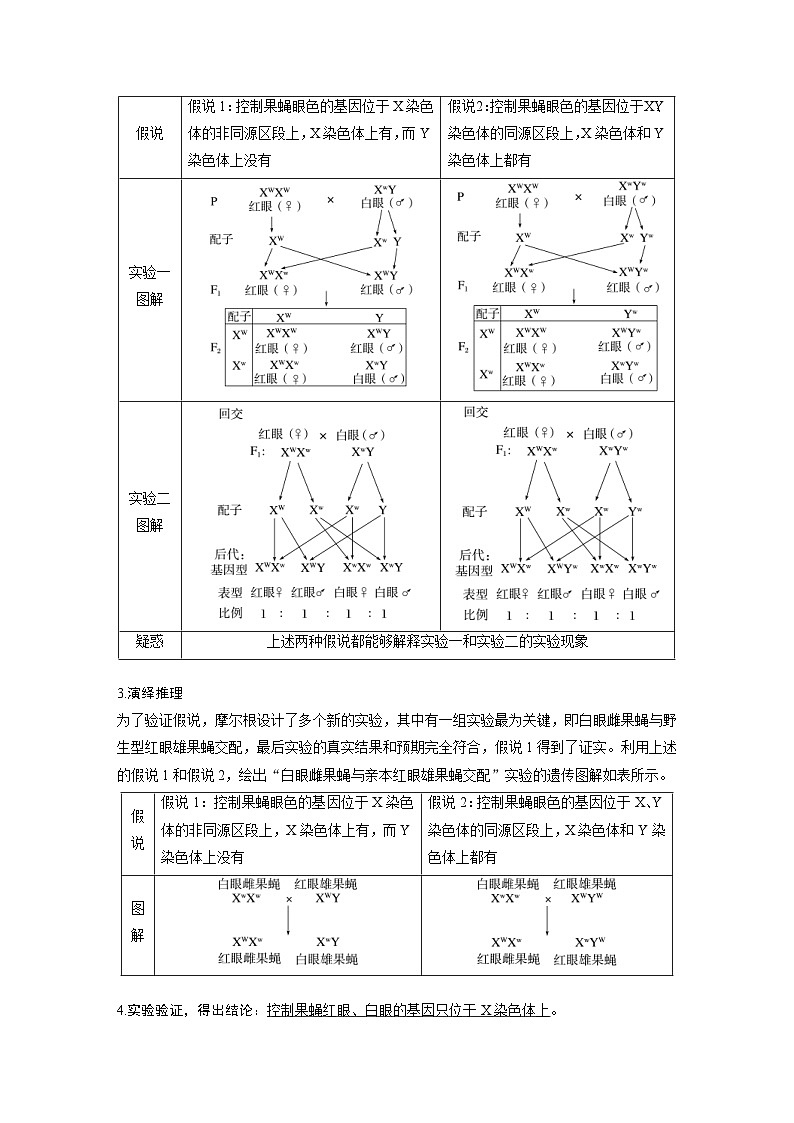 新高考生物一轮复习考点梳理讲义 第5单元　第7课时　基因在染色体上的假说与证据（含解析）第3页