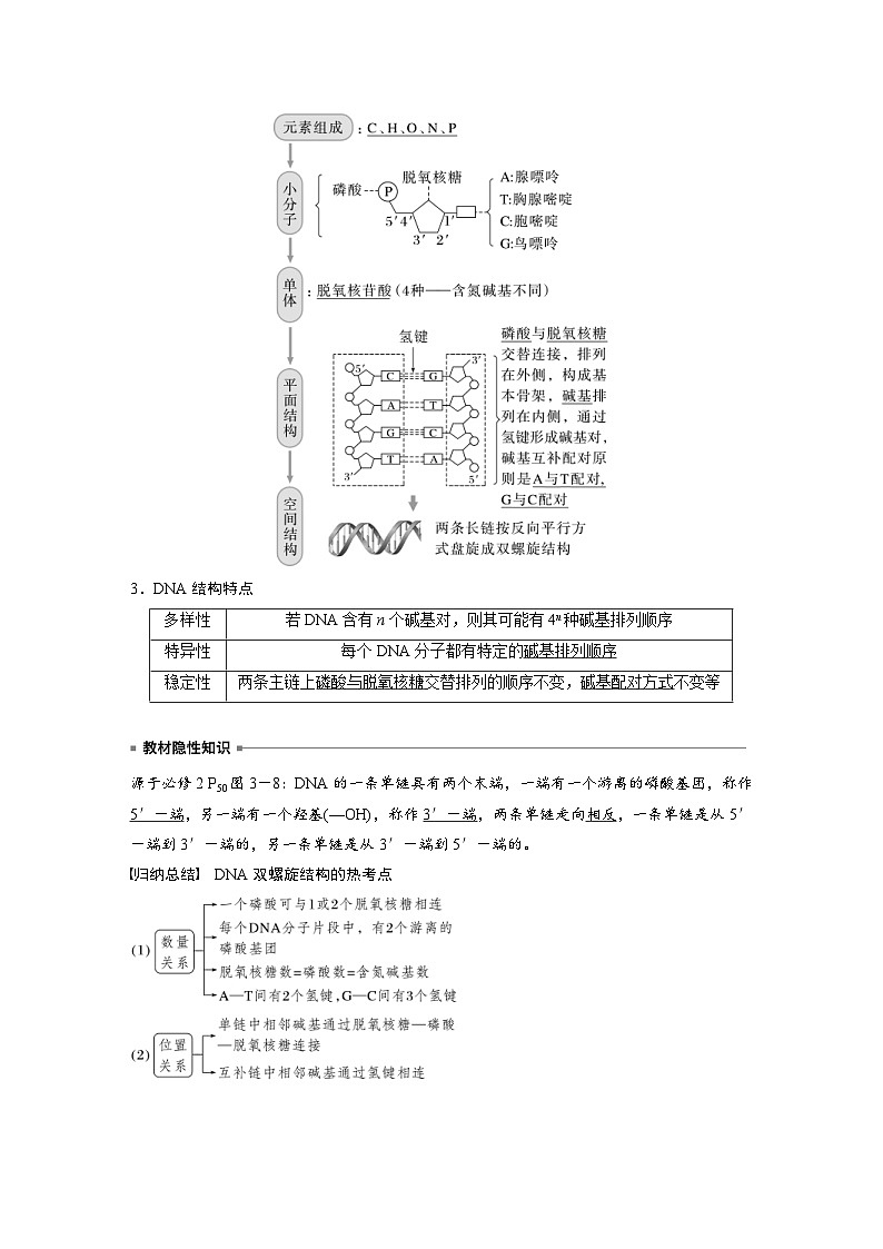 新高考生物一轮复习考点梳理讲义 第6单元　第2课时　DNA的结构与复制（含解析）02